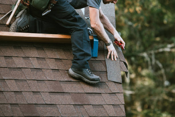 Best Roof Gutter Cleaning  in Cleveland, FL